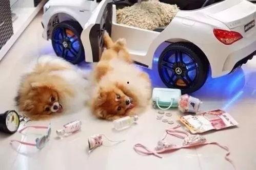 摔玩偶的爆料视频大全图片,趣味瞬间捕捉童年回忆 第3张 摔玩偶的爆料视频大全图片,趣味瞬间捕捉童年回忆 第3张